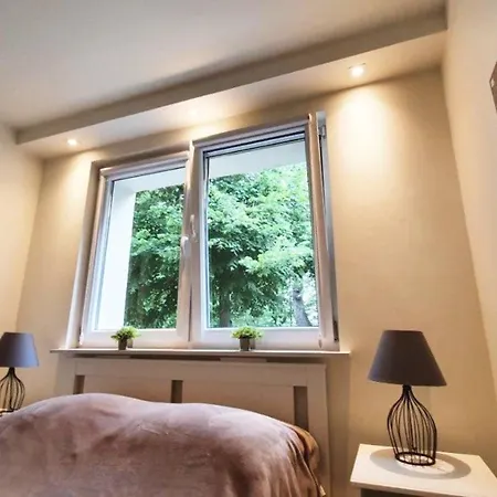 Solano * シフィノウイシチェ