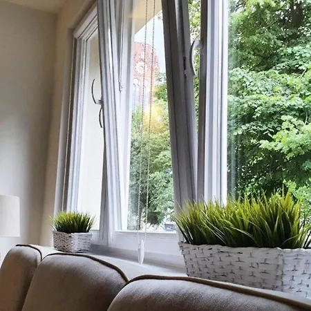 Solano シフィノウイシチェ