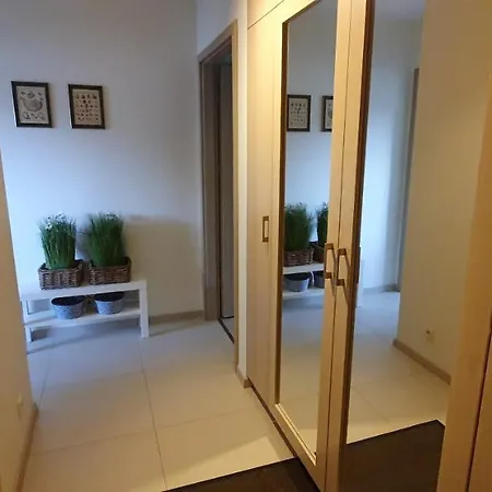 Solano シフィノウイシチェ